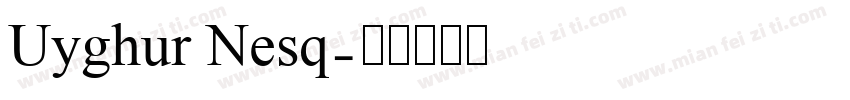 Uyghur Nesq字体转换